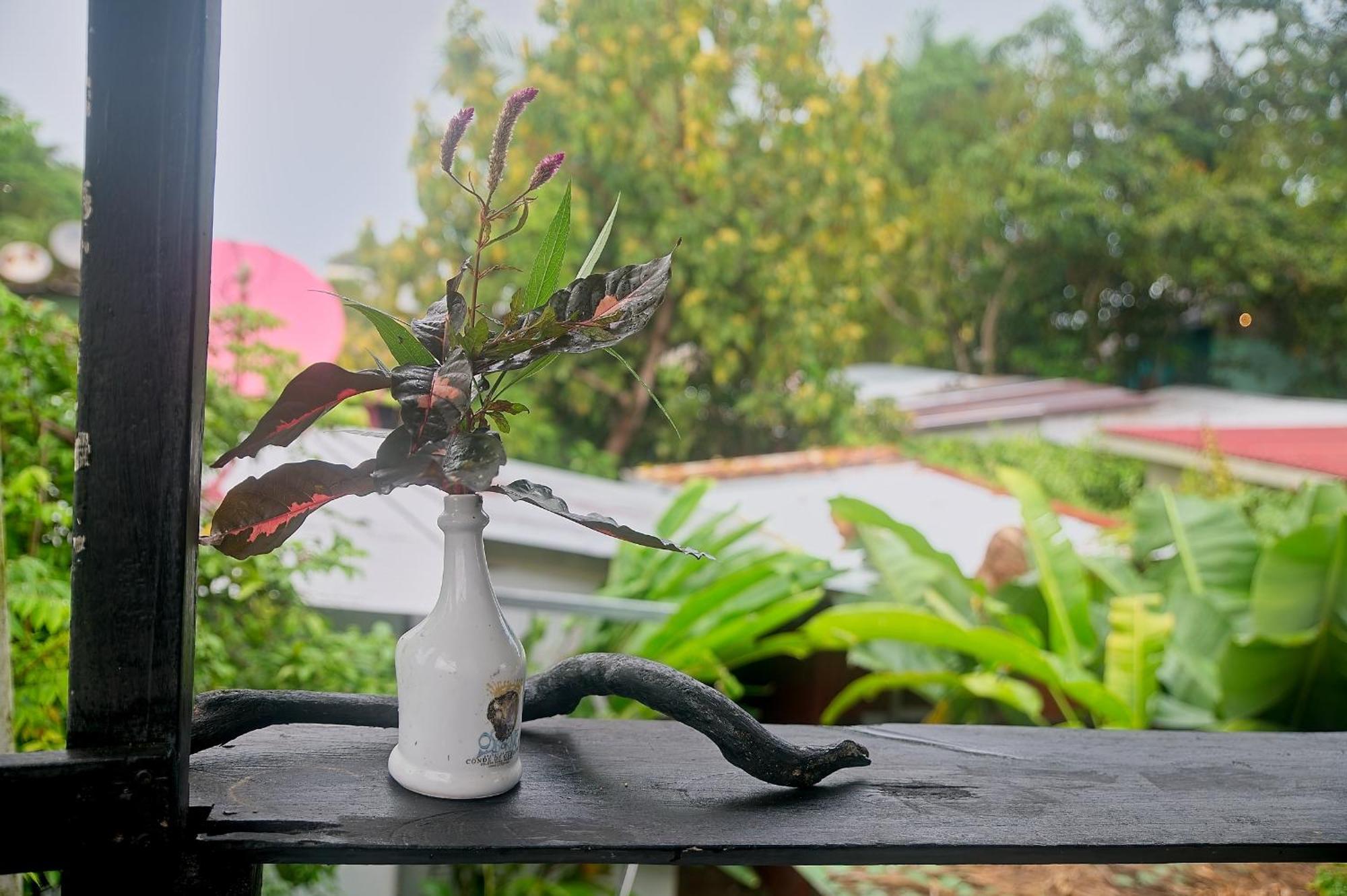 فندق Mar Caribe Pv Puerto Viejo de Talamanca المظهر الخارجي الصورة